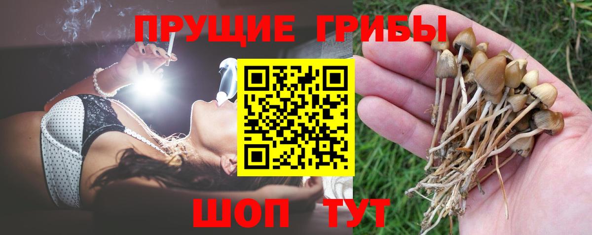 Псилоцибиновые грибы Magic Shrooms Вичуга